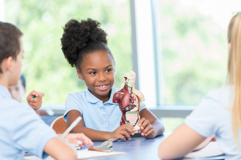 criança aprendendo sobre educação sexual na escola