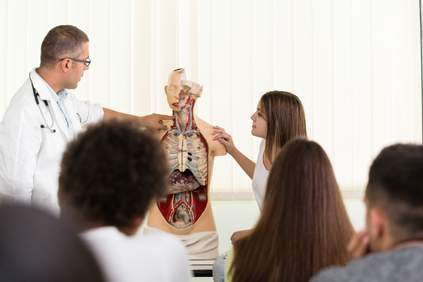 educação sexual nas escolas