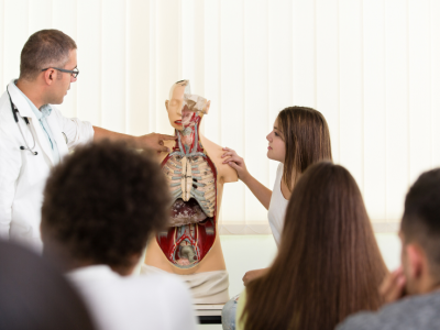 educação sexual nas escolas