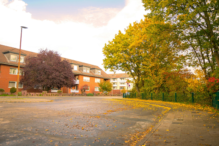 escola no outono com árvores de folhas secas